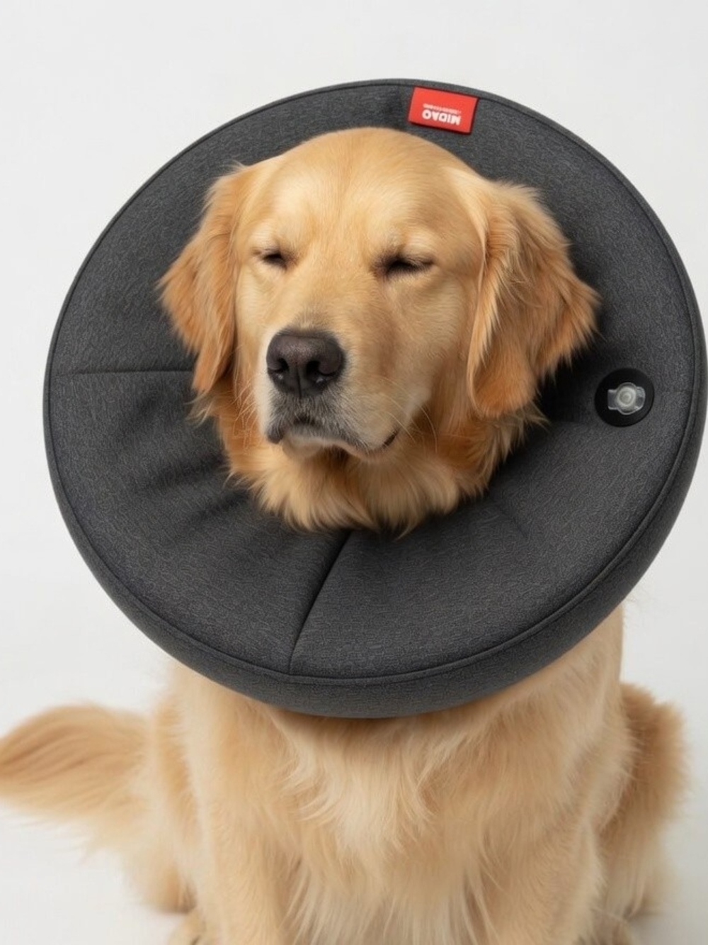 XL- Midog Inflatable Pet Recovery Collar - Dark Gray- 18 to 24 Inch Neck-NWT